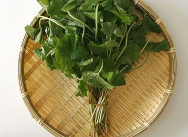 ミャンマー野菜：ペニーワート（ツボクサ）