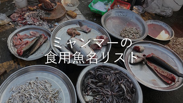ミャンマーの食用魚名リスト