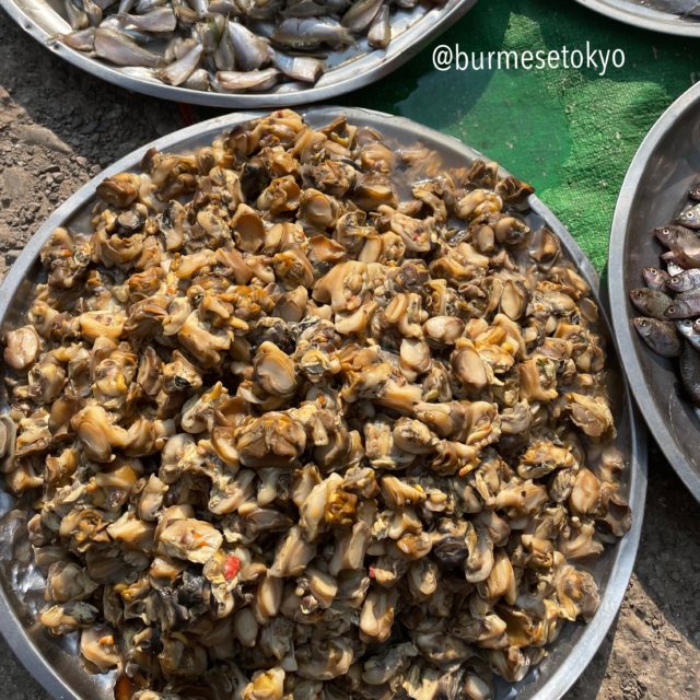 カローの市場で見かけた剥き貝
